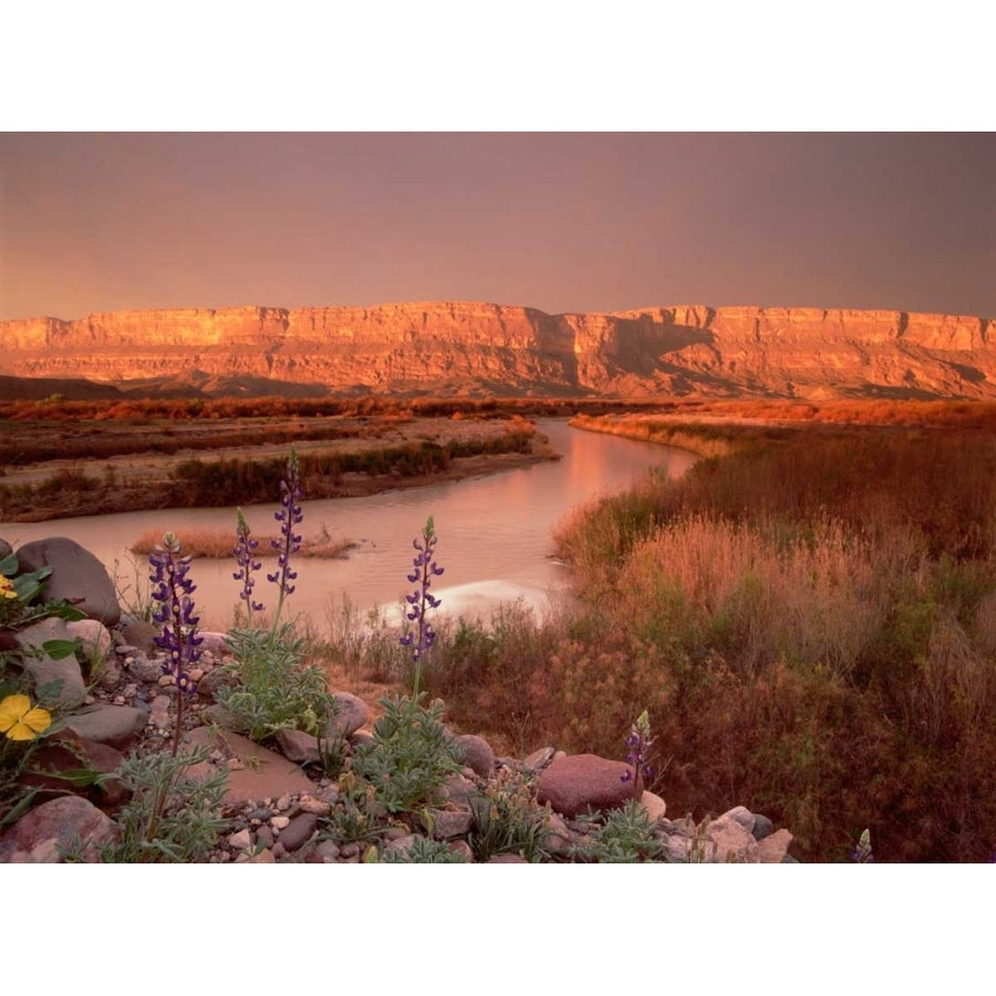 Sierra Ponce and Rio Grande Big Bend National Park Texas Poster Print by Tim Fitzharris Image 1