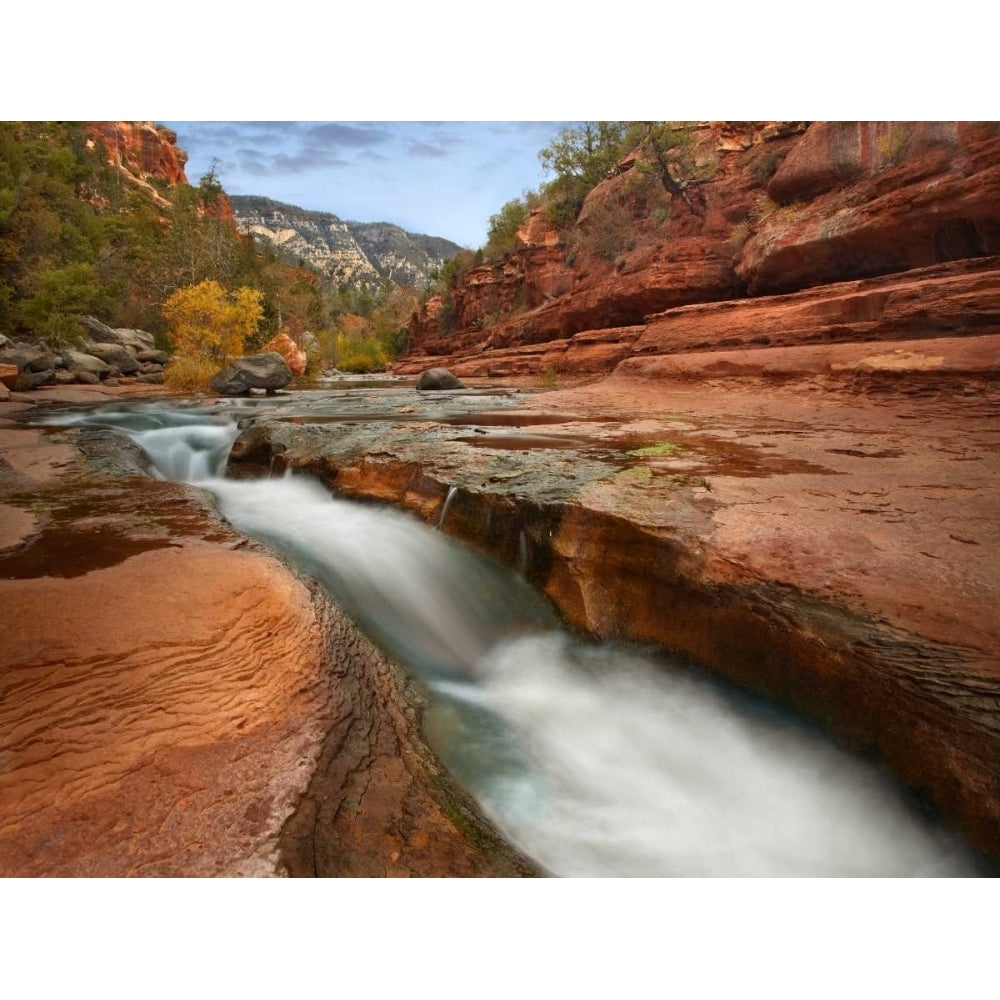 Oak Creek in Slide Rock State Park near Sedona Arizona Poster Print by Tim Fitzharris Image 2