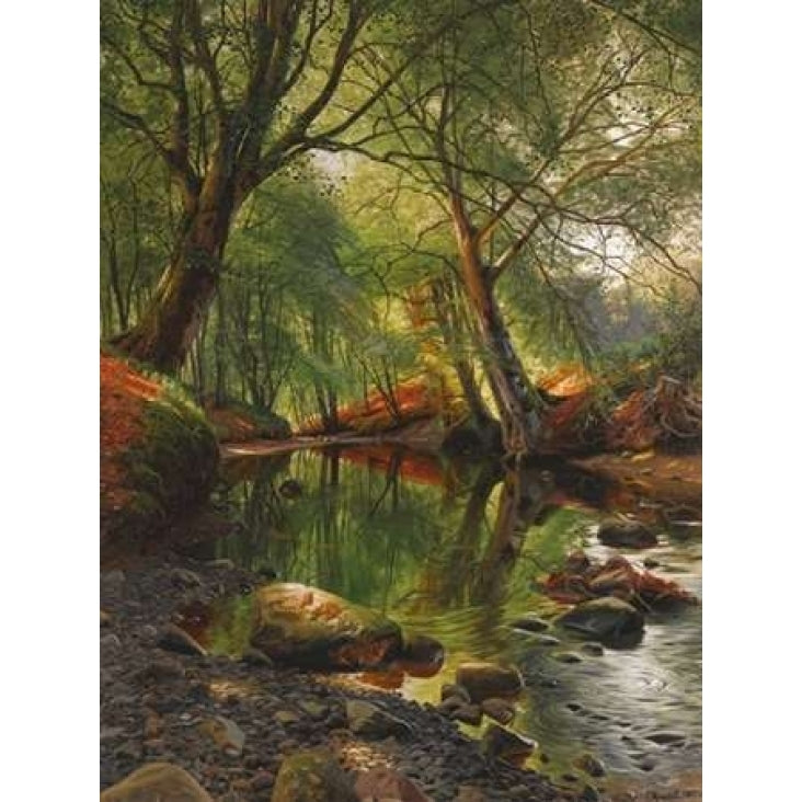 A woodland stream Poster Print by Peder Mrk Mnsted Image 1