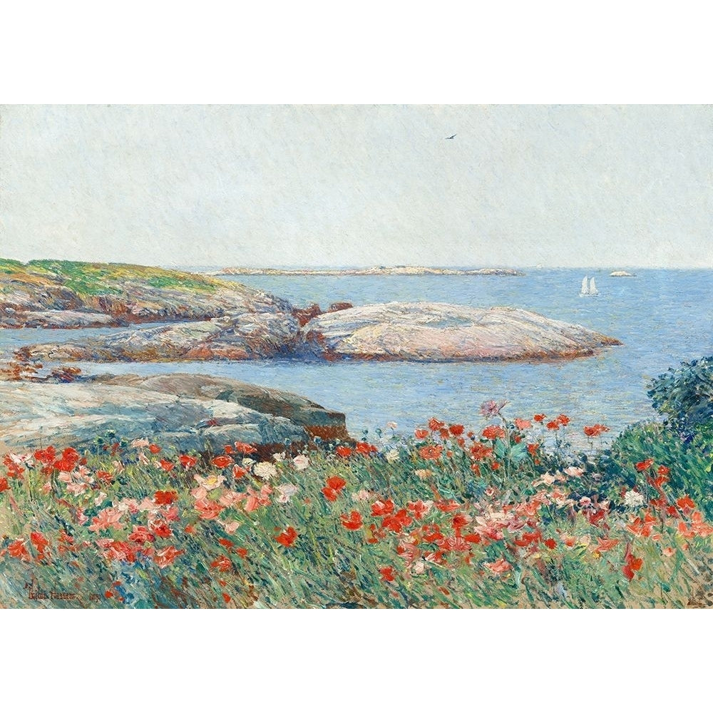 Poppies- Isles of Shoals Poster Print by Childe Hassam 3AA5236 Image 1