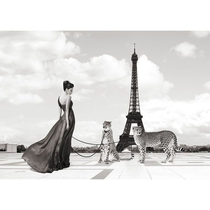 Trocadero View Poster Print by Julian Lauren Image 1