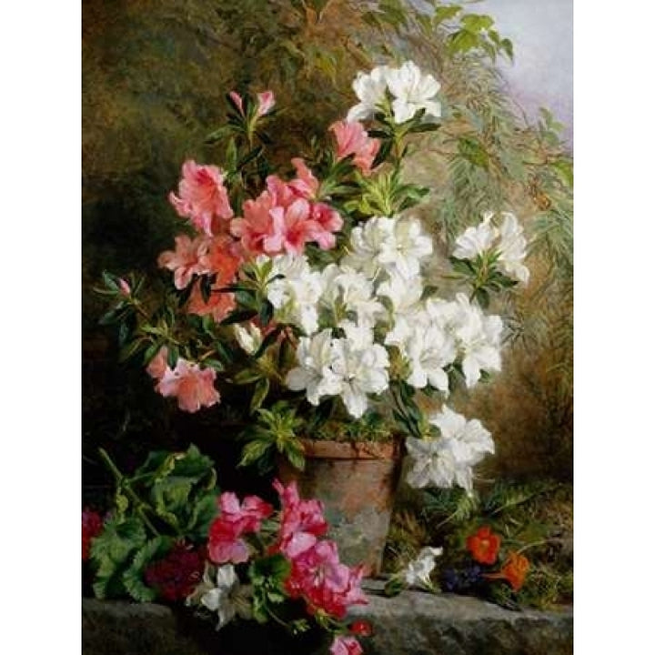 Still Life of Azaleas Poster Print by Annie Feray Mutrie Image 2