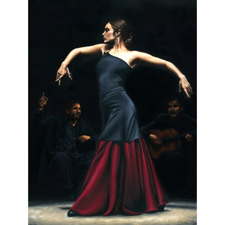 Encantado por flamenco Poster Print by Richard Young Image 1