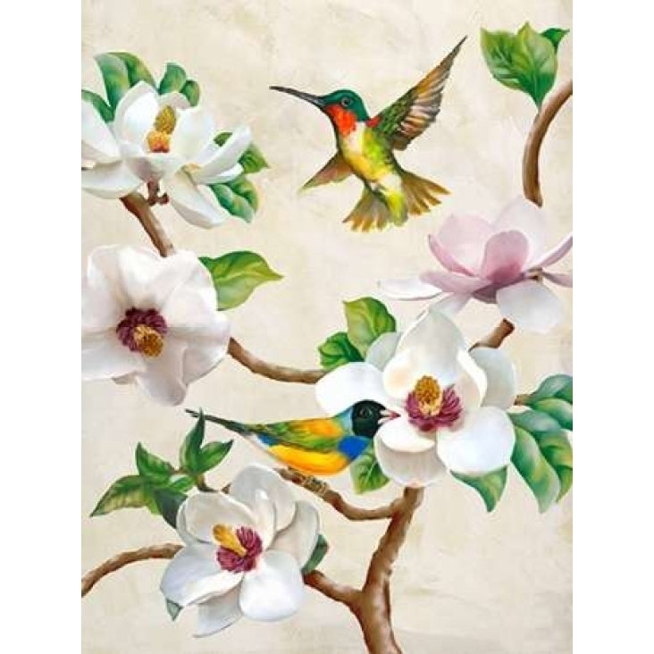 Magnolia and Birds Poster Print by Terry Wang Image 2