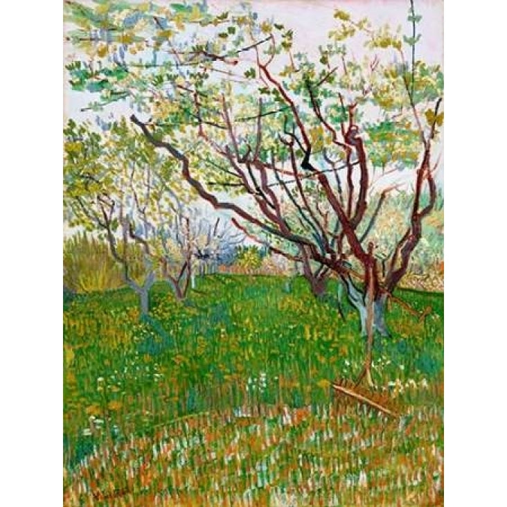 The Flowering Orchard Poster Print by Vincent van Gogh Image 1