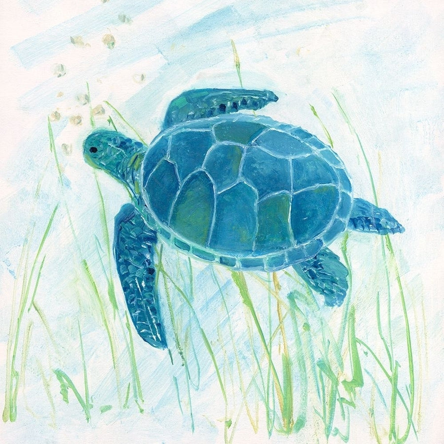 Reef Turtle II Poster Print by Sally Swatland Image 1