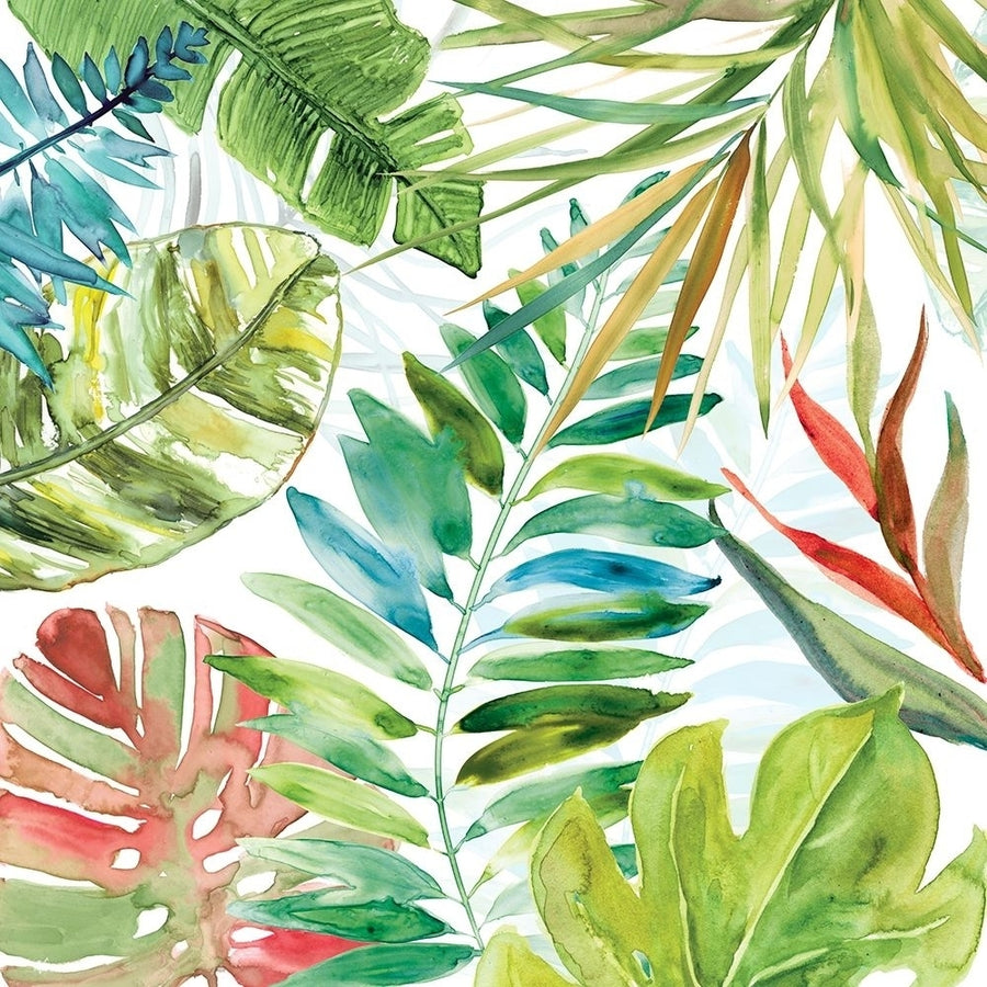 Tropical Sketchbook II Poster Print by Carol Robinson Image 1