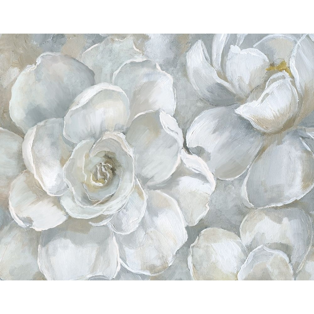 Gardenia Poster Print by Nan Image 1