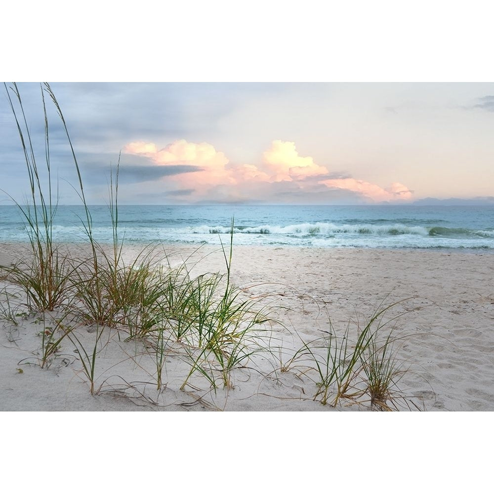 Beach Driftwood Poster Print by Nan Image 1