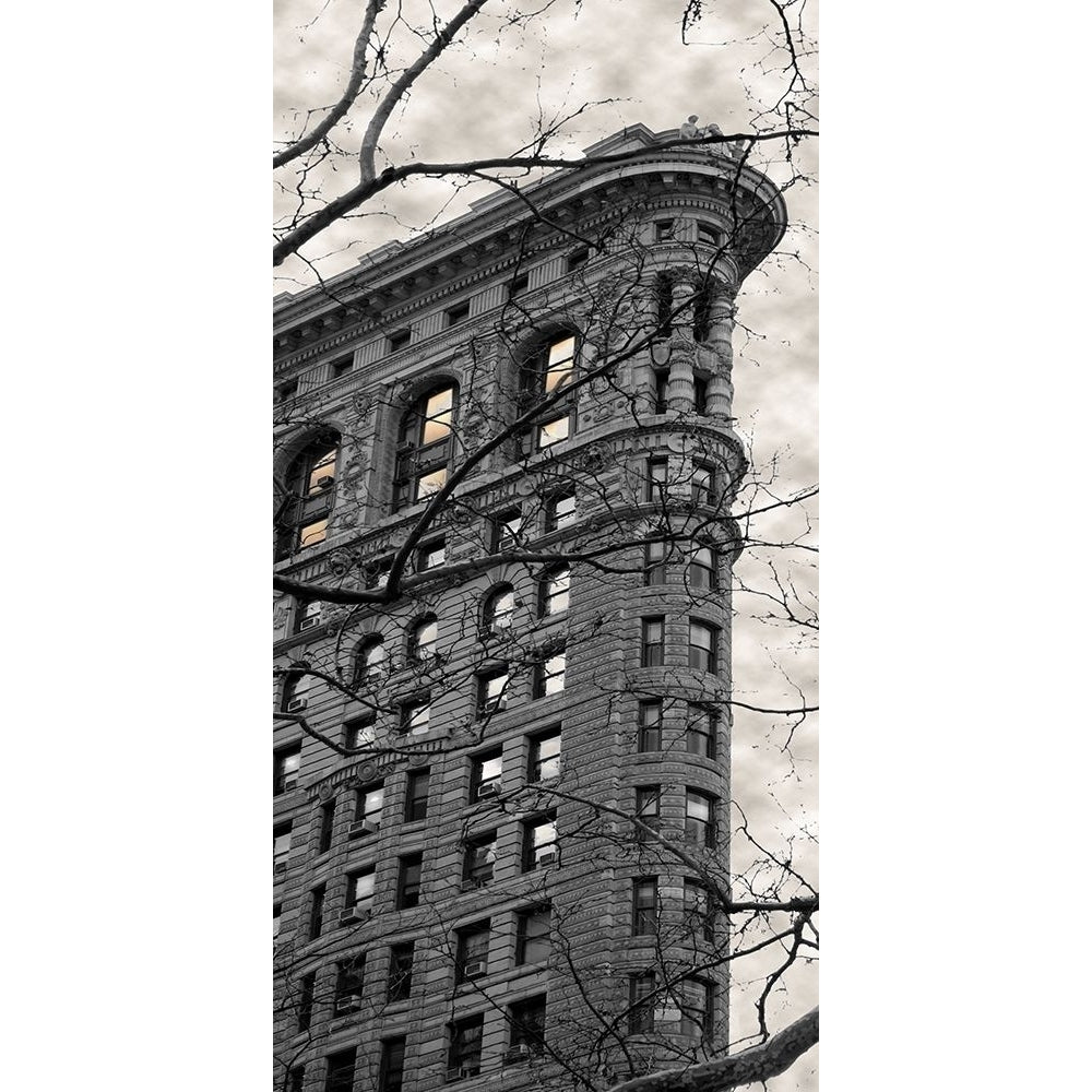 Flatiron Building Poster Print by Susan Jill Image 1