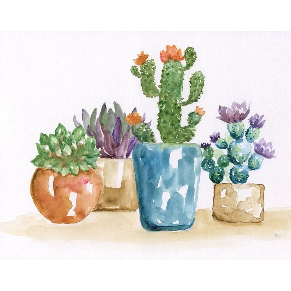 Summer Succulents II Poster Print by Nan Nan Image 1