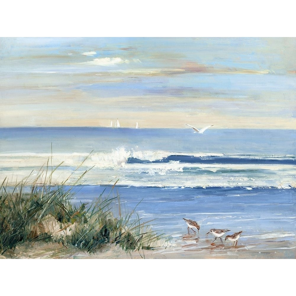 Beach Combers Poster Print by Sally Swatland Image 1