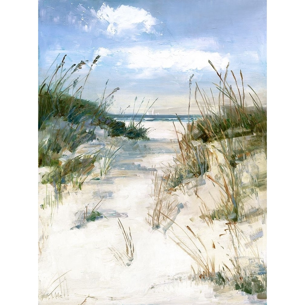 Dune View Poster Print by Sally Swatland Image 1