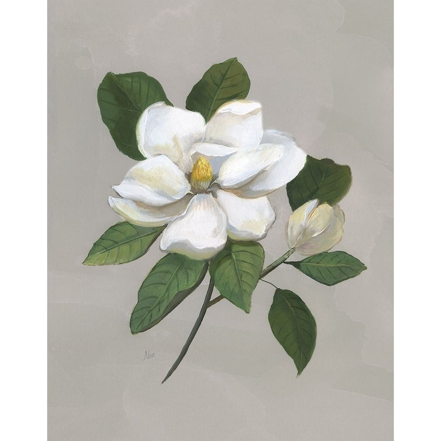 Botanical Magnolia Poster Print by Nan Nan Image 1