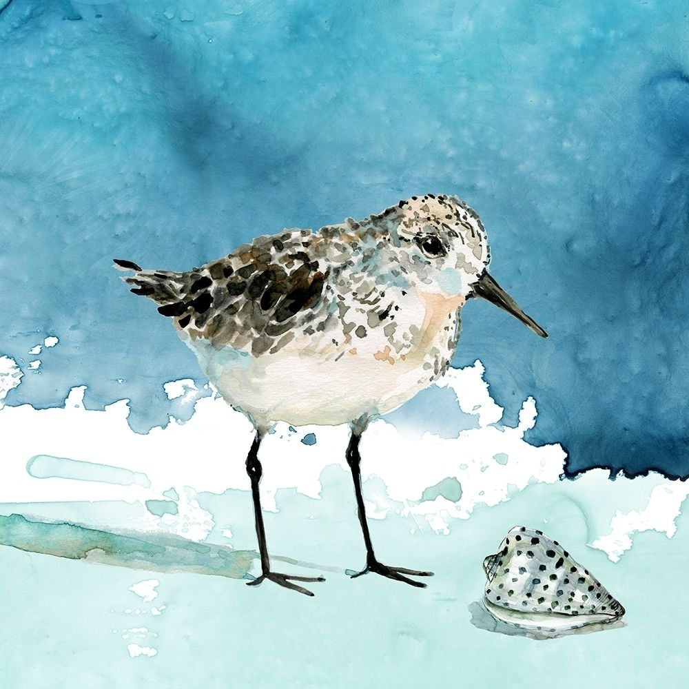 Delray Sandpiper I Poster Print by Carol Robinson 41881 Image 1