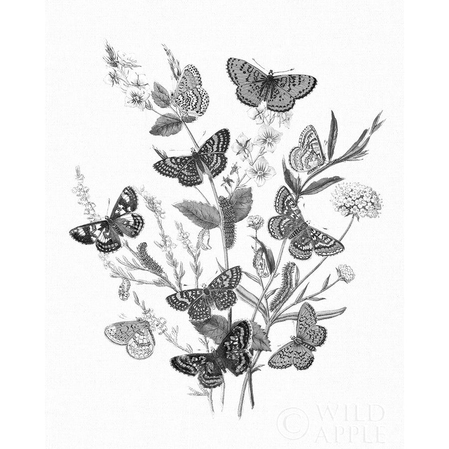 Butterfly Bouquet I Linen BW I Poster Print by Wild Apple Portfolio Image 1