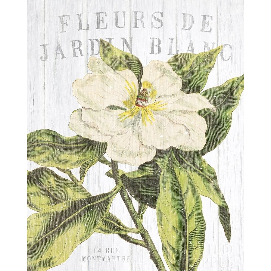 Fleuriste Paris II Poster Print by Wild Apple Portfolio Image 1