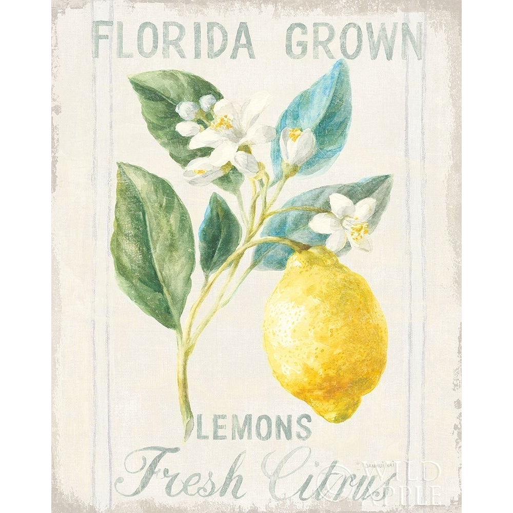 Floursack Lemon I Poster Print by Danhui Nai Image 1