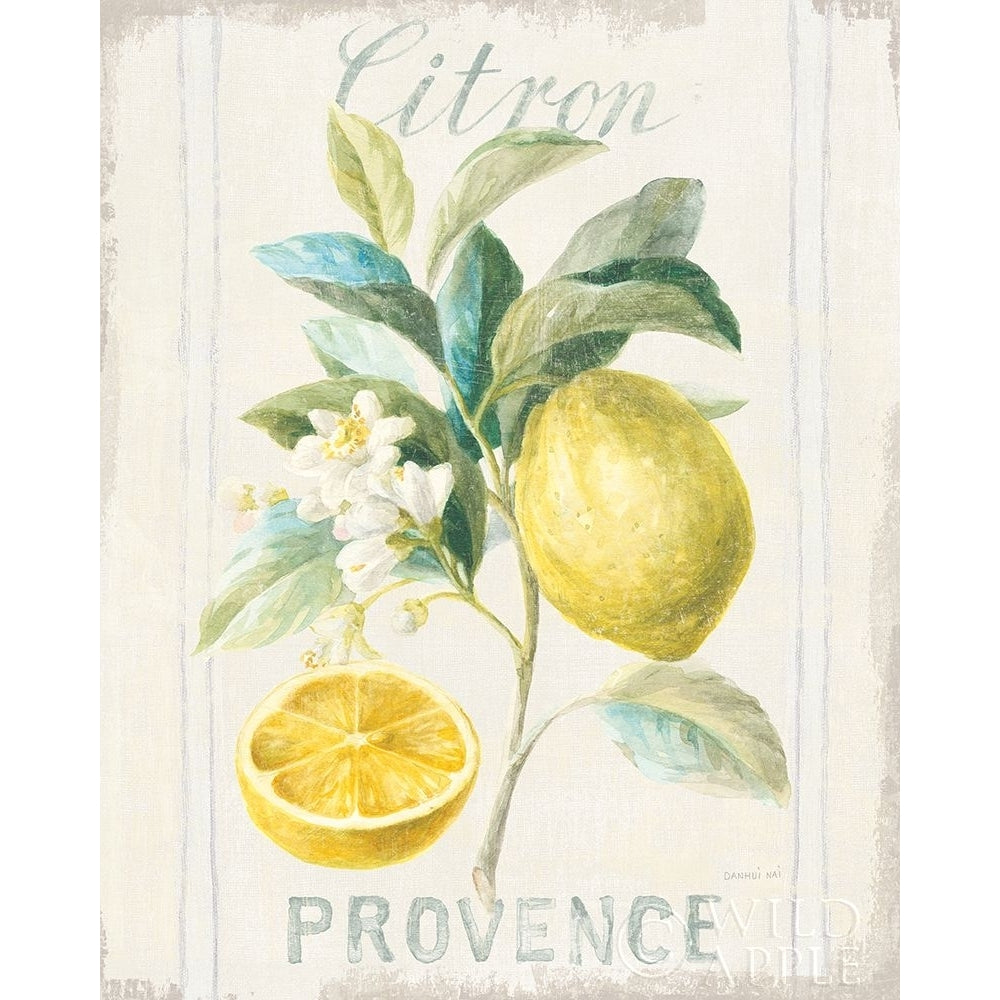 Floursack Lemon IV Poster Print by Danhui Nai Image 1