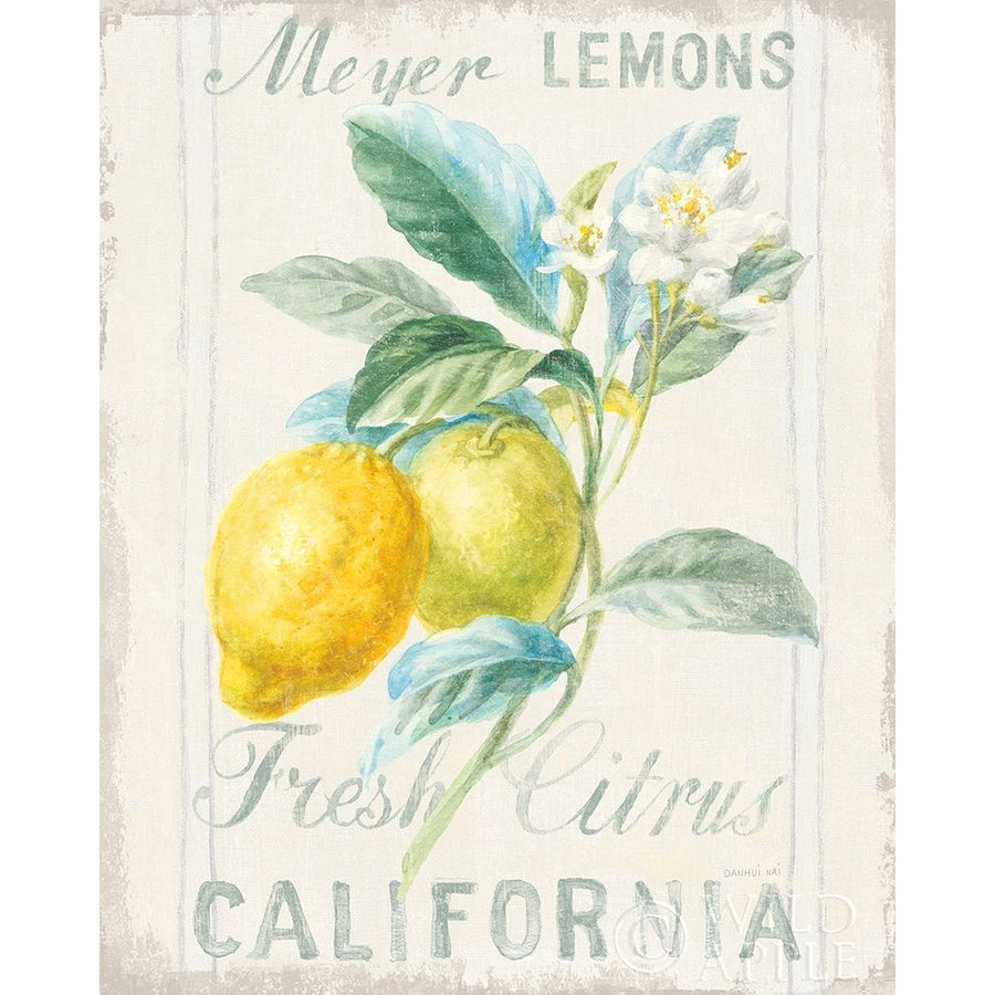 Floursack Lemon II Poster Print by Danhui Nai Image 1