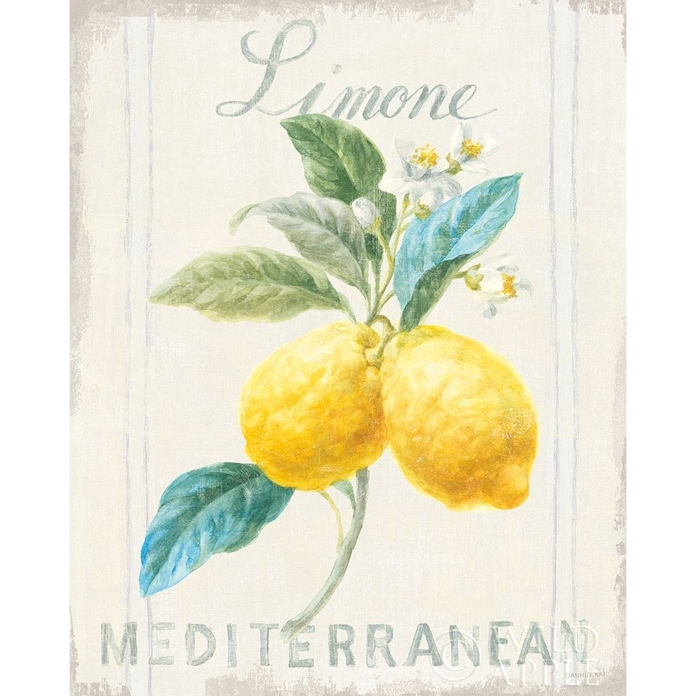 Floursack Lemon III Poster Print by Danhui Nai Image 1