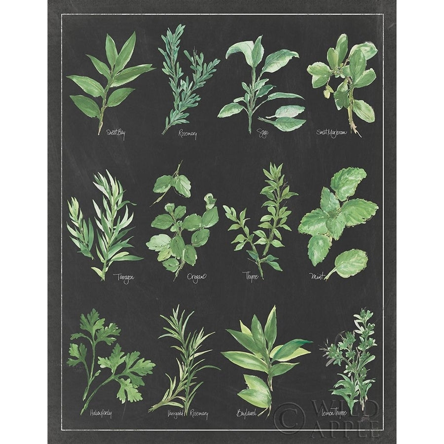 Herb Chart on Black White Border Poster Print by Chris Paschke Image 1