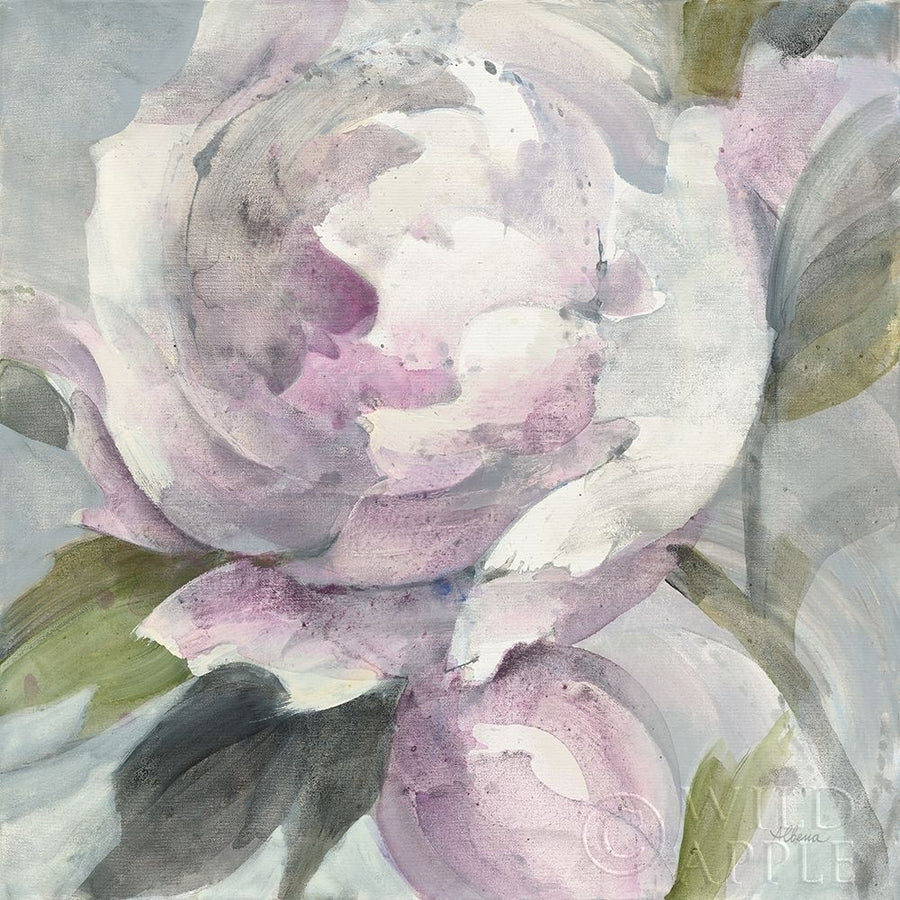 Twilight Peony Poster Print by Albena Hristova Image 1