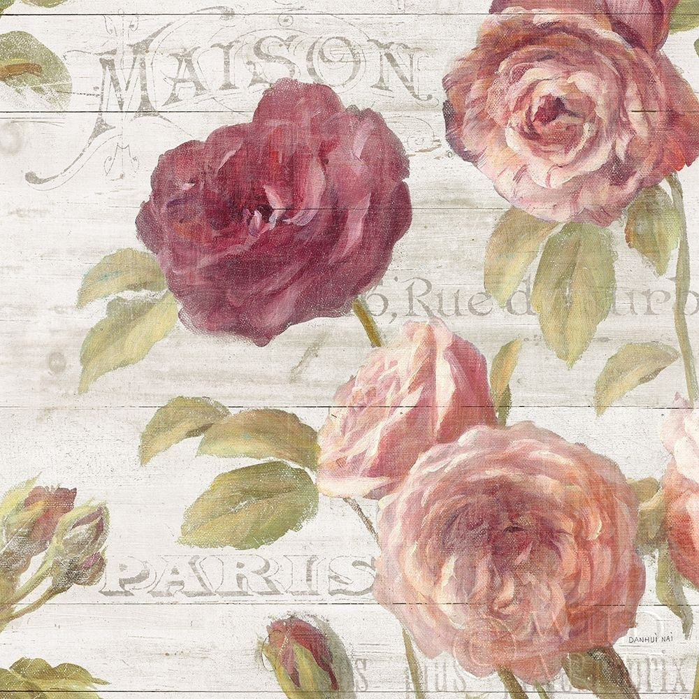 French Roses V Poster Print by Danhui Nai Image 1