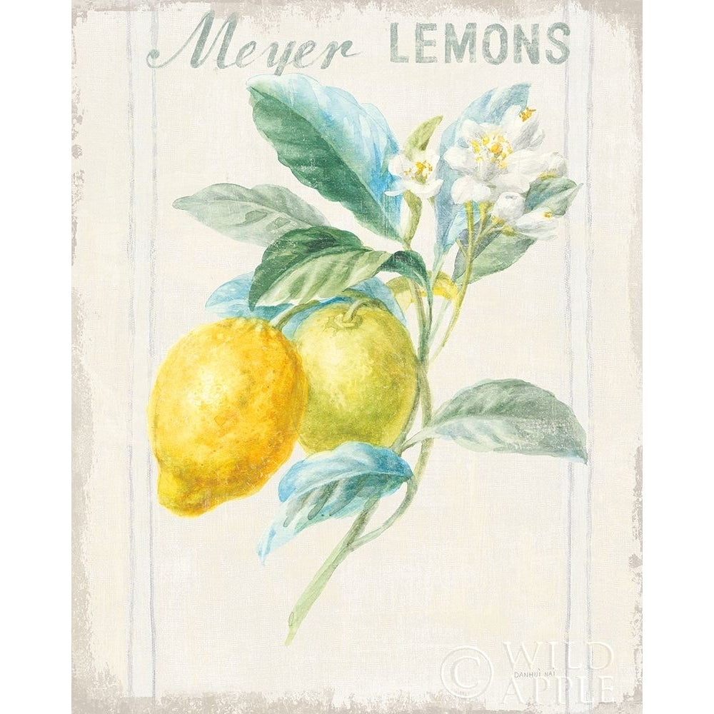 Floursack Lemon II v2 Poster Print by Danhui Nai Image 1