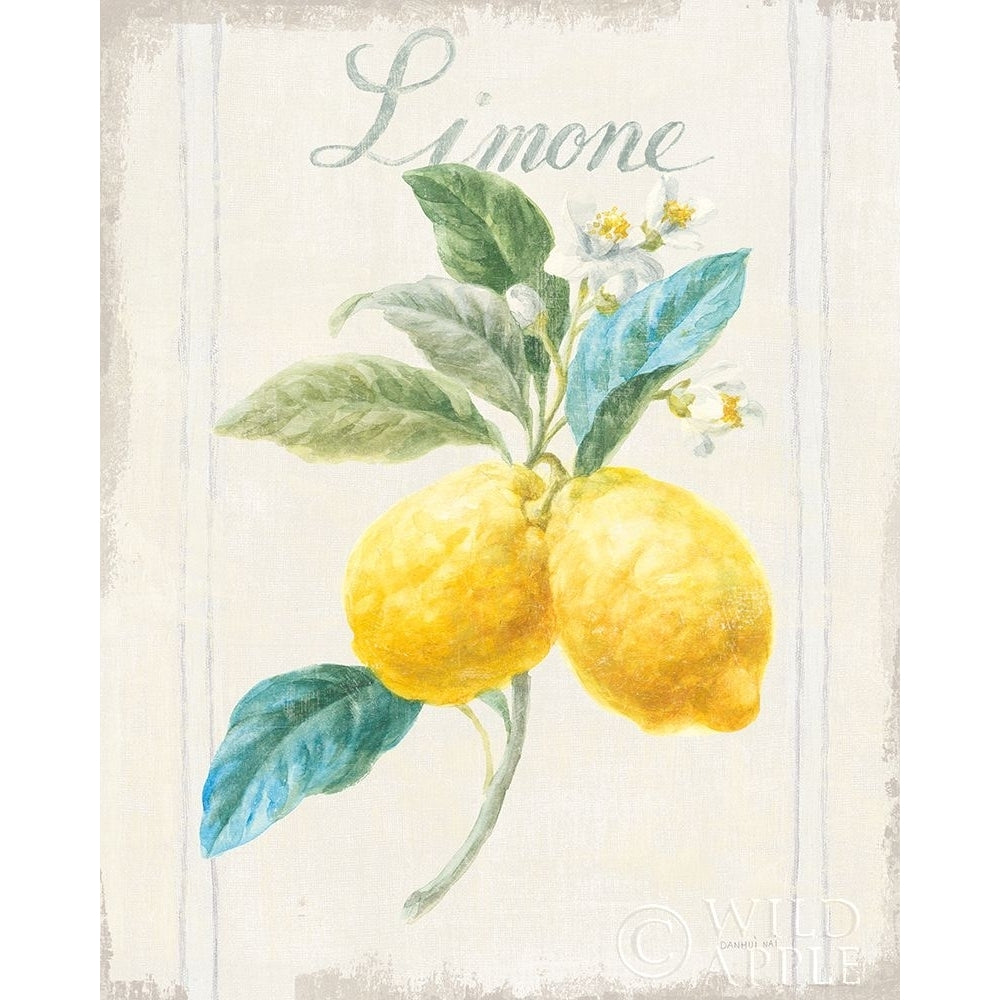 Floursack Lemon III v2 Poster Print by Danhui Nai Image 1