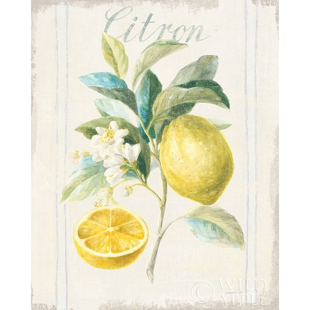 Floursack Lemon IV v2 Poster Print by Danhui Nai Image 1