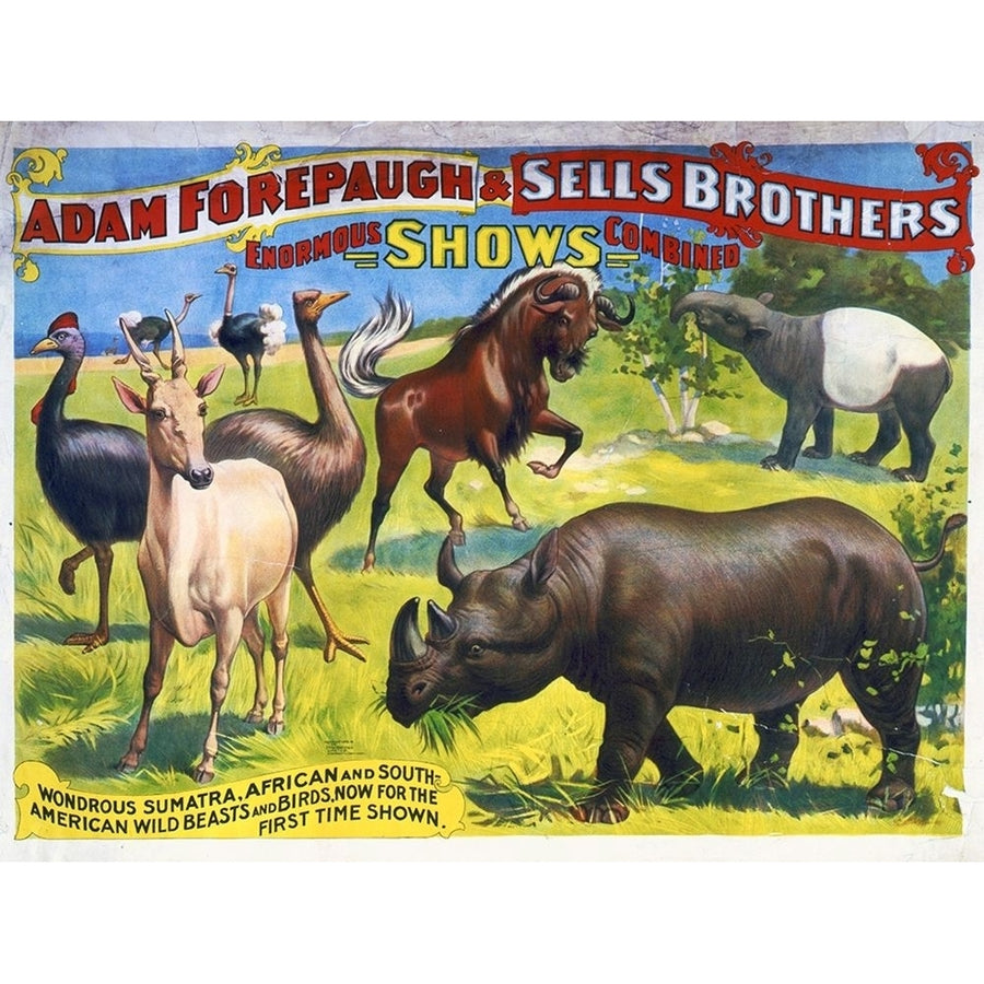 Adam Forepaugh and Sells Brothers Enormous Shows Combined - Wondrous Sumatra African And South-Amer Poster Print by Image 1