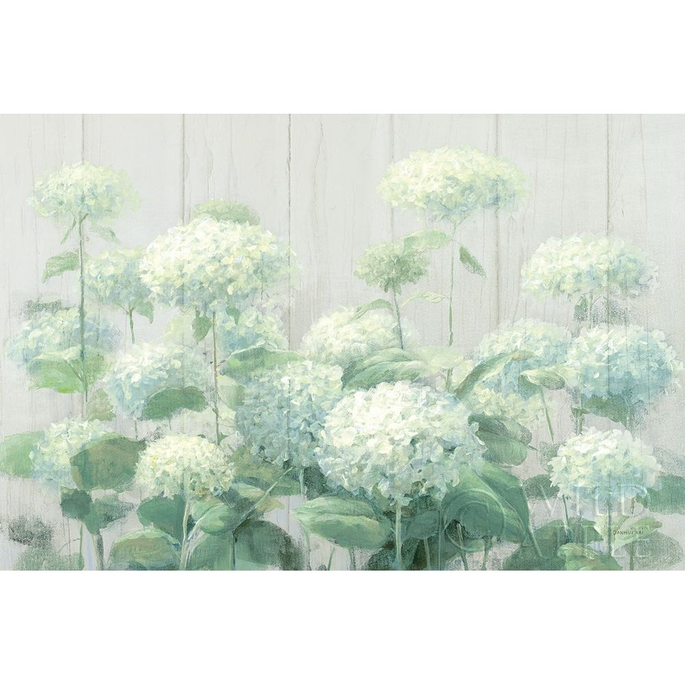 White Hydrangea Garden Sage on Wood Crop Poster Print by Danhui Nai Image 1