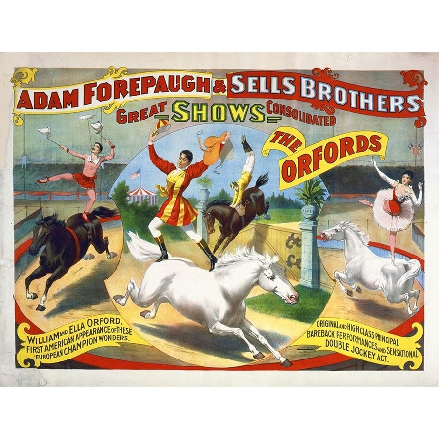 Adam Forepaugh and Sells Brothers - The Oxfords - William And Ella Oxford Poster Print by Hollywood Photo Archive Image 1