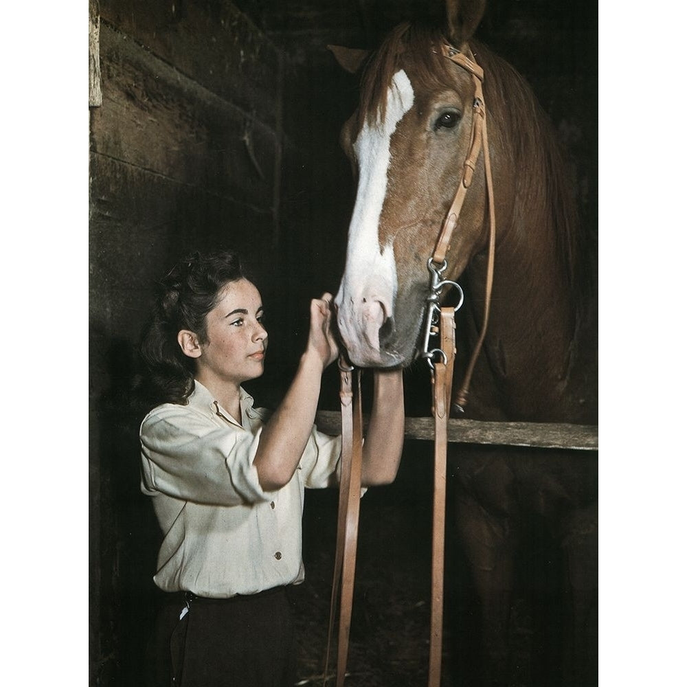 National Velvet - Elizabeth Taylor Poster Print by Hollywood Photo Archive Hollywood Photo Archive Image 1