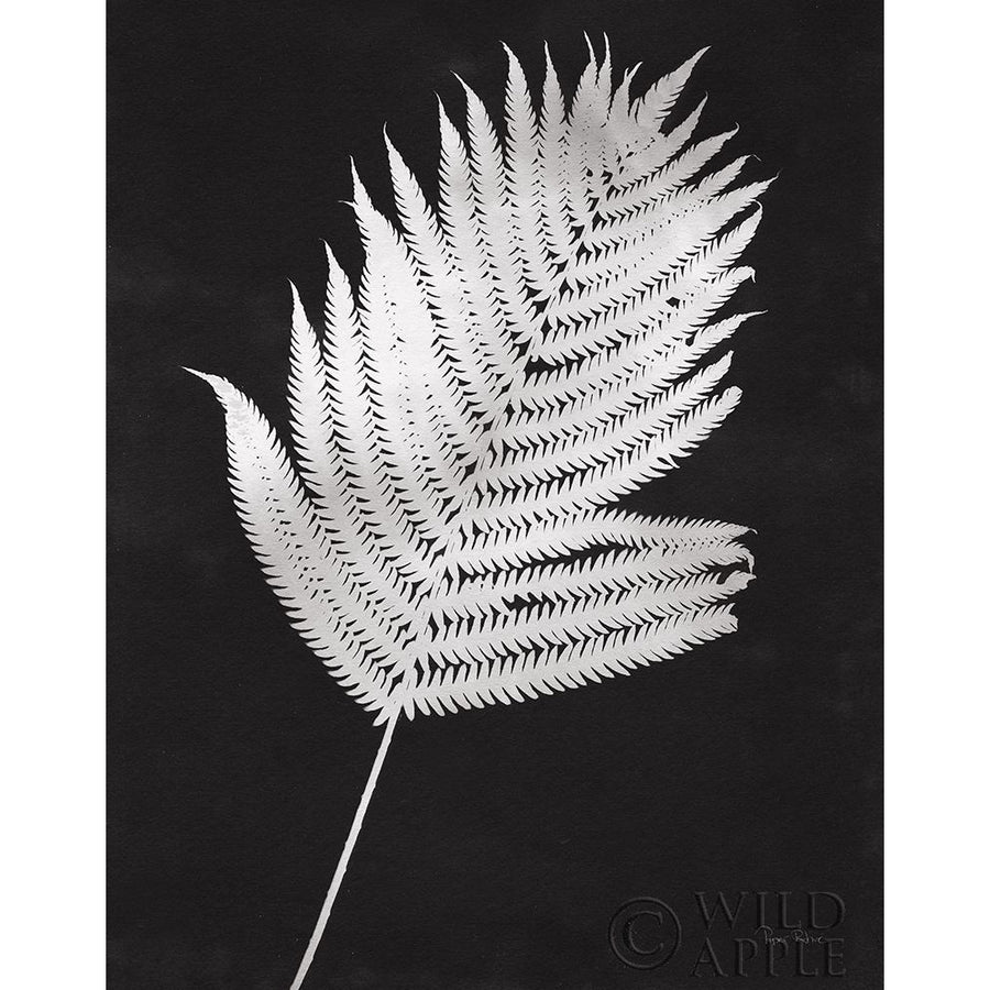 Nature by the Lake Ferns III Black Crop Poster Print by Piper Rhue Image 1