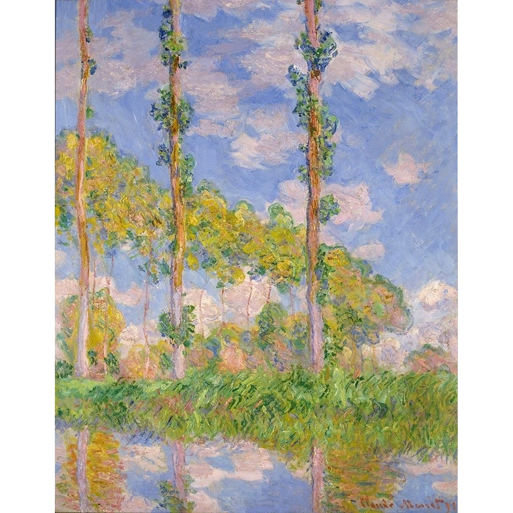 Poplars in the sun Poster Print by Claude Monet 53116 Image 1