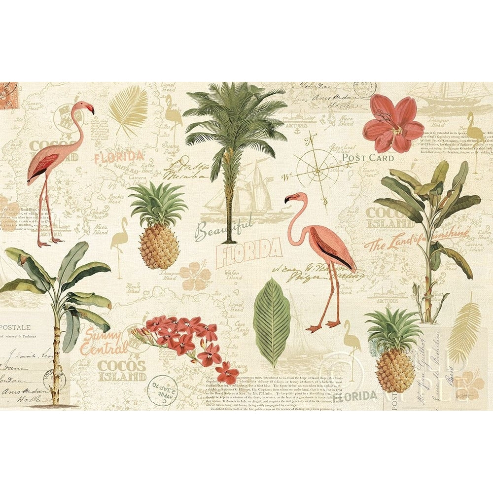 Floridian VI Poster Print by Katie Pertiet Image 1