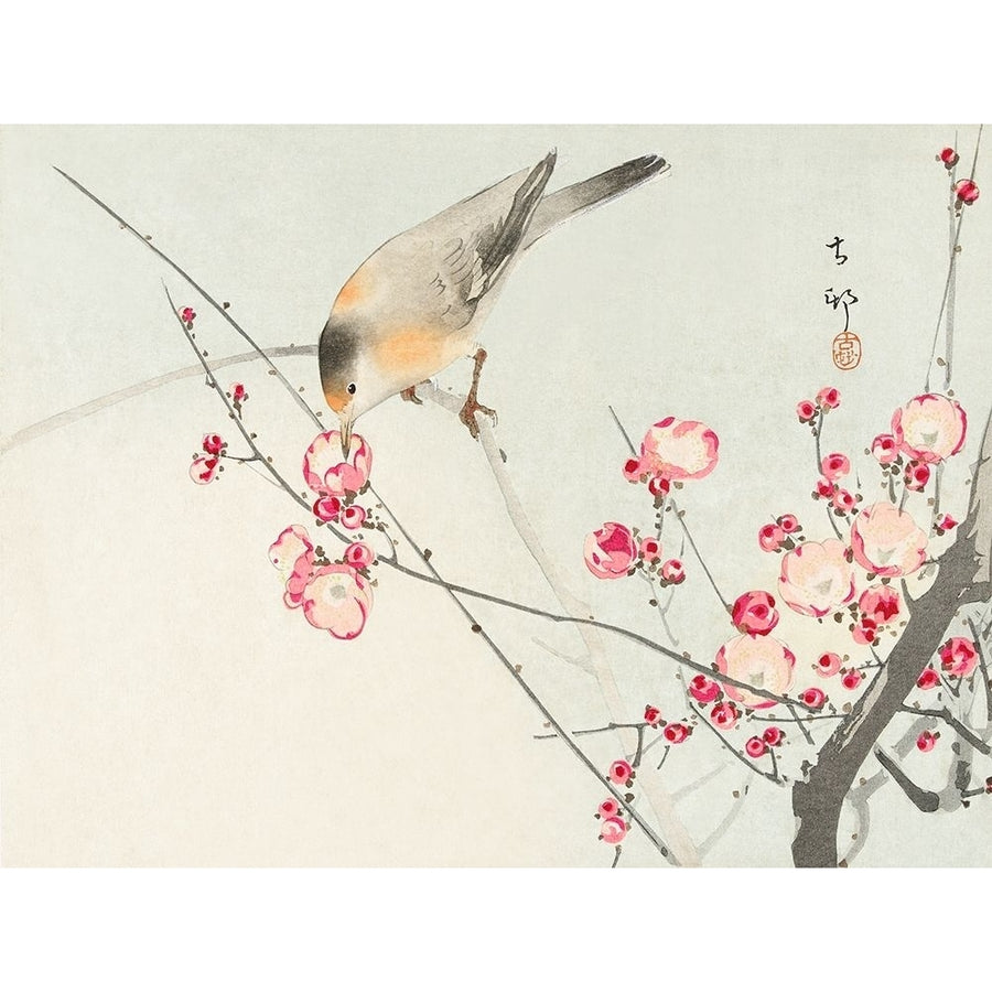 Songbird on blossom branch Poster Print by Ohara Koson 54971 Image 1