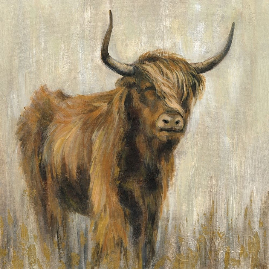 Highland Mountain Cow Poster Print by Silvia Vassileva Image 1