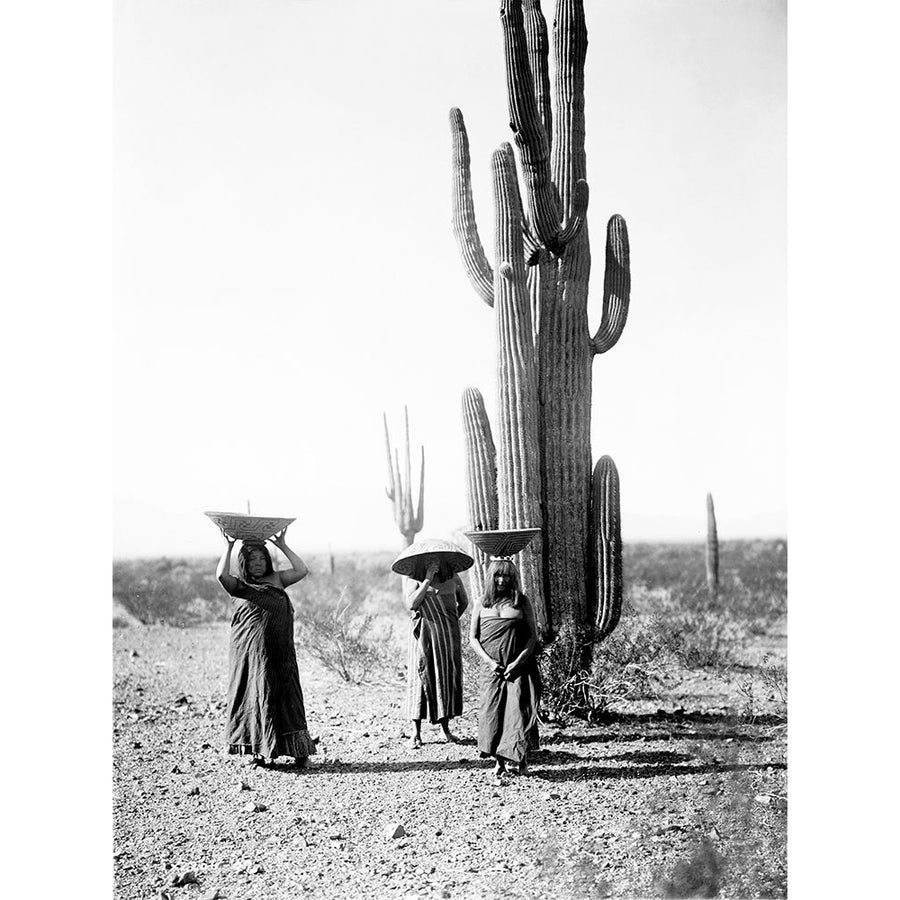 Saguaro gatherers Maricopa Arizona ca 1907 Poster Print by Edward Curtis 55717 Image 1