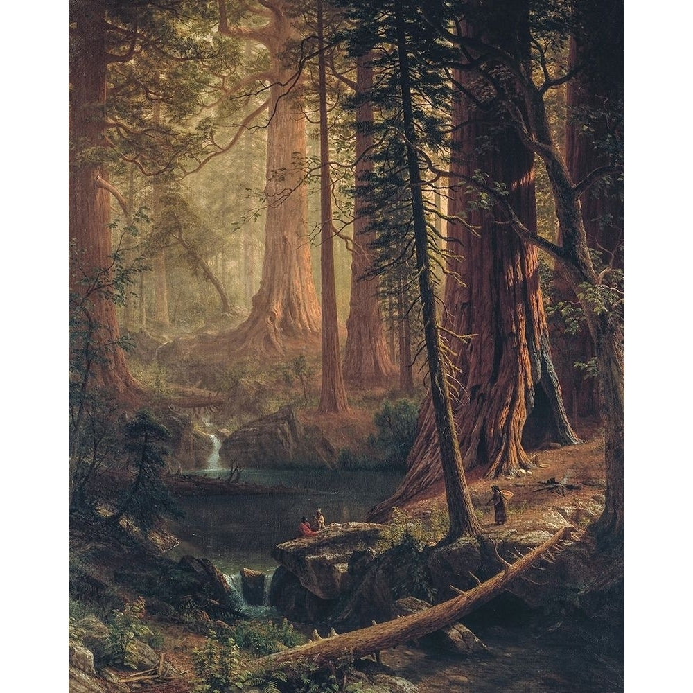 Giant Redwood Trees of California Poster Print by Albert Bierstadt 55948 Image 1