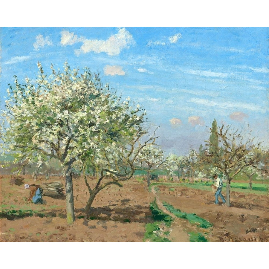 Orchard in Bloom Louveciennes by Camille Pissarro Image 1