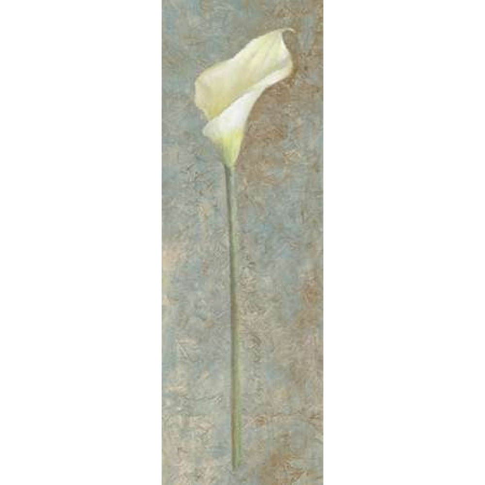 Calla Lily I Poster Print by Lanie Loreth Image 2