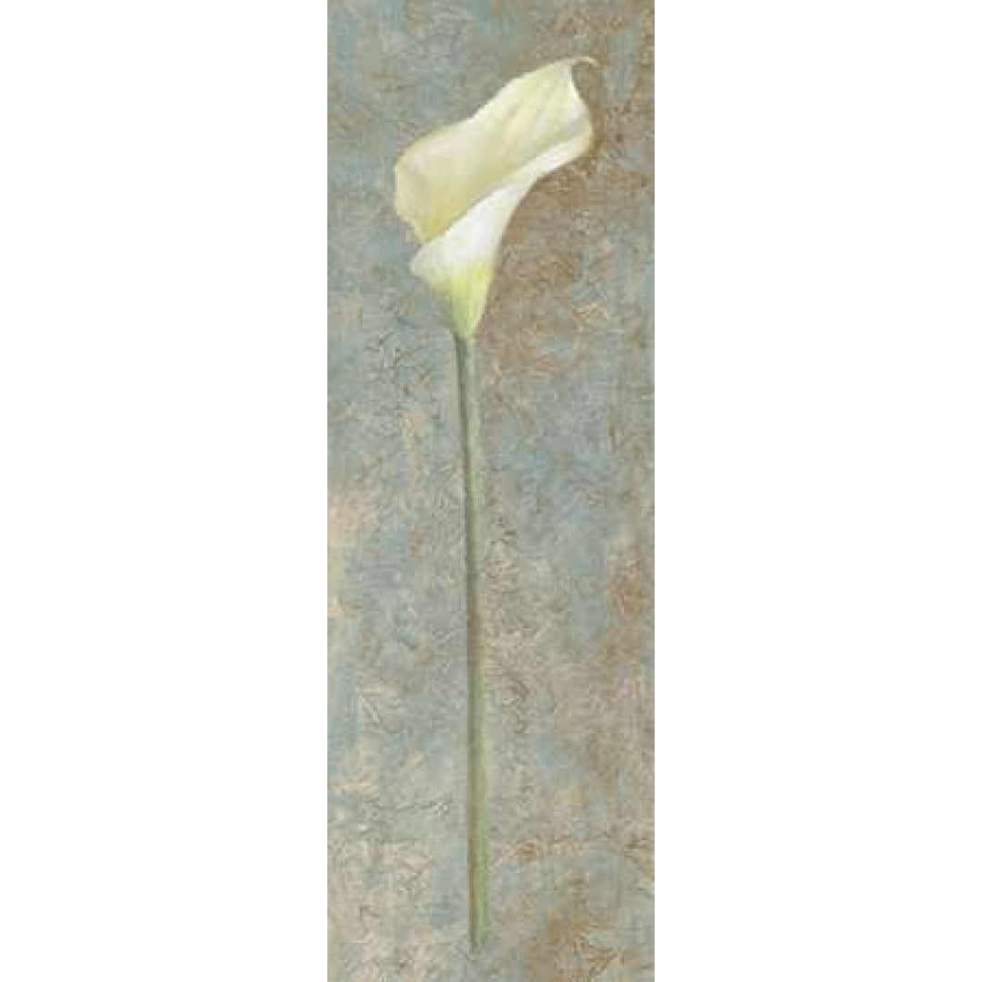 Calla Lily I Poster Print by Lanie Loreth Image 1