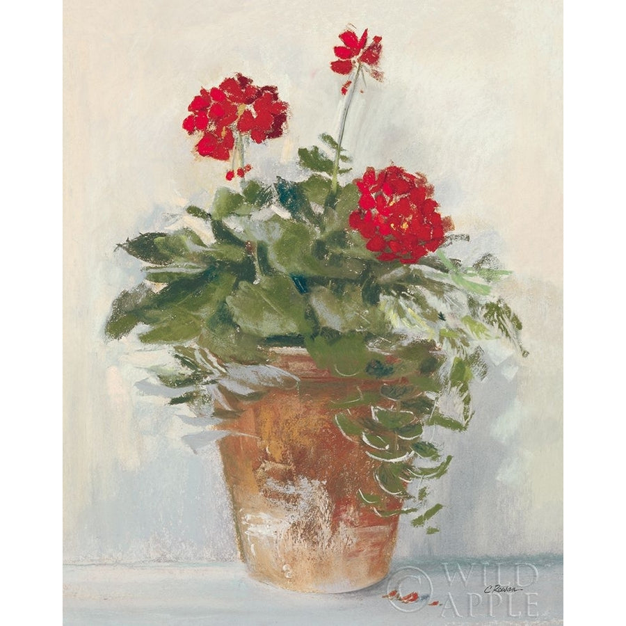 Potted Geraniums II Light Poster Print by Carol Rowan 61000 Image 1