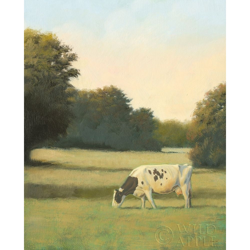 Morning Meadows I Poster Print by James Wiens 61489 Image 1