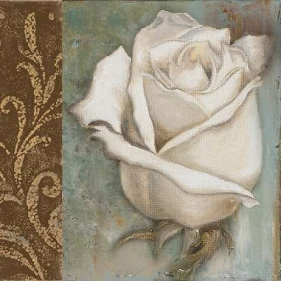 Rose I Poster Print by Patricia Pinto Image 1