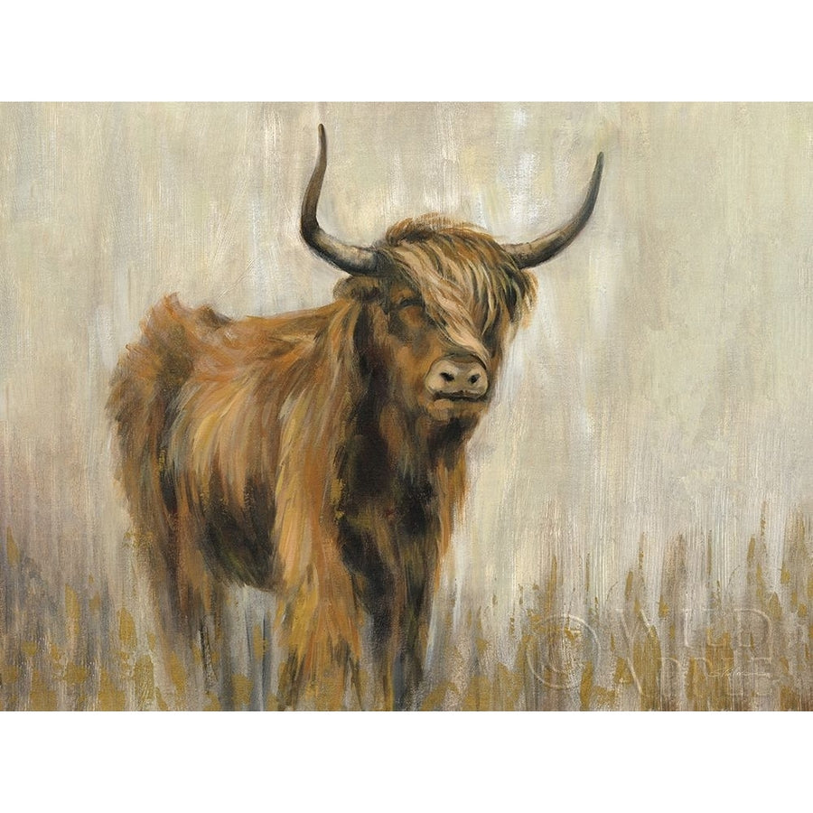 Highland Mountain Cow Poster Print by Silvia Vassileva 62516 Image 1