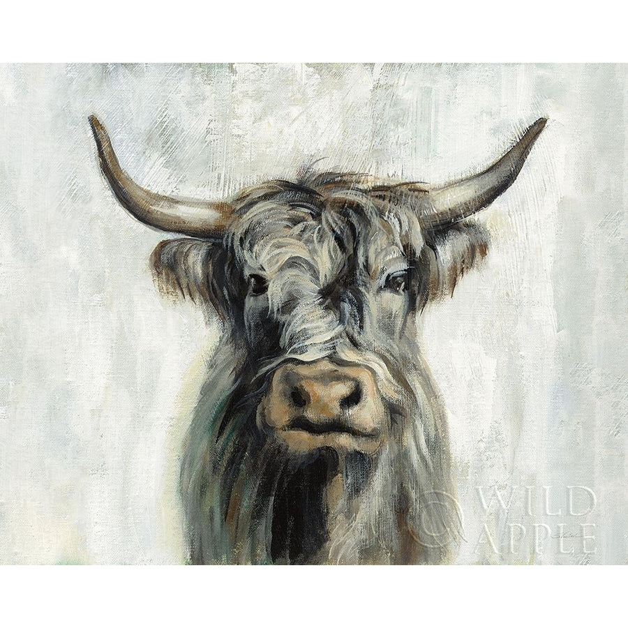 Highland Cow Horizontal Poster Print by Silvia Vassileva 62751 Image 1